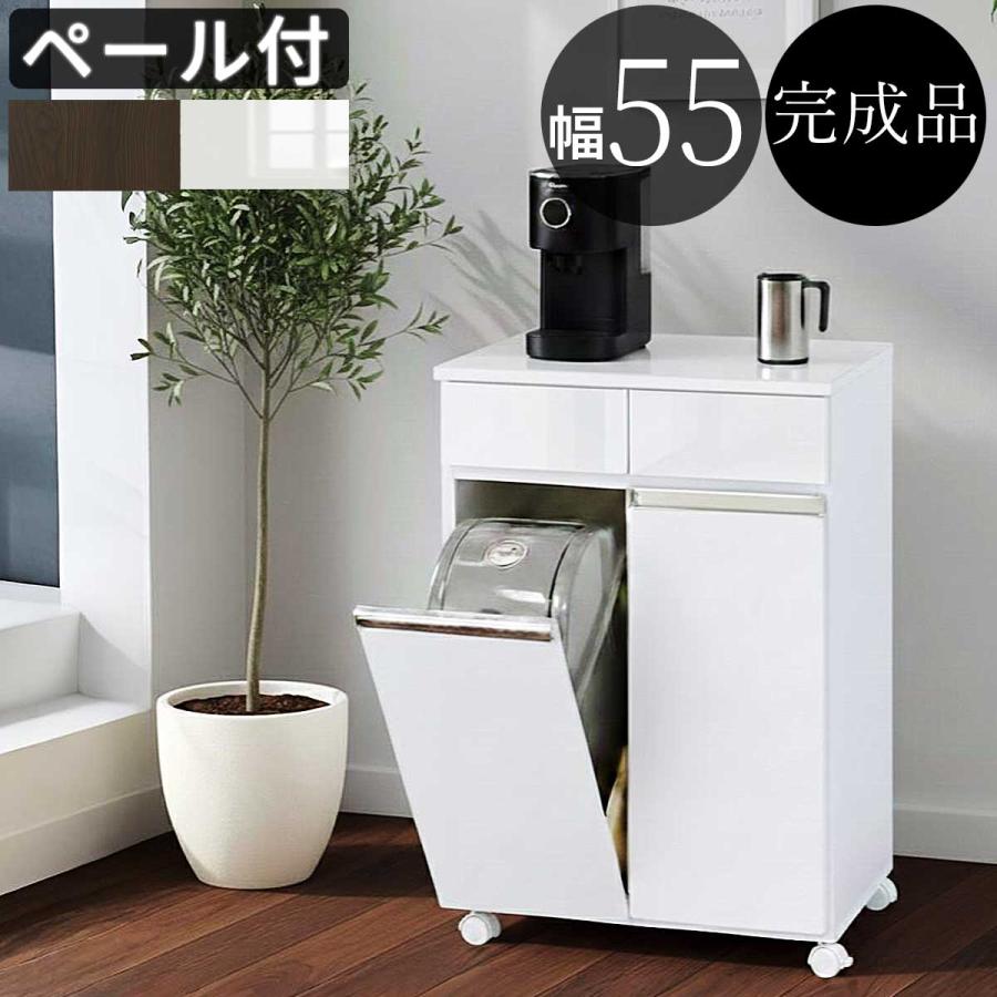 ダイニングダストボックス2D ごみ箱 2分別 台所用 生ごみ 背面美人