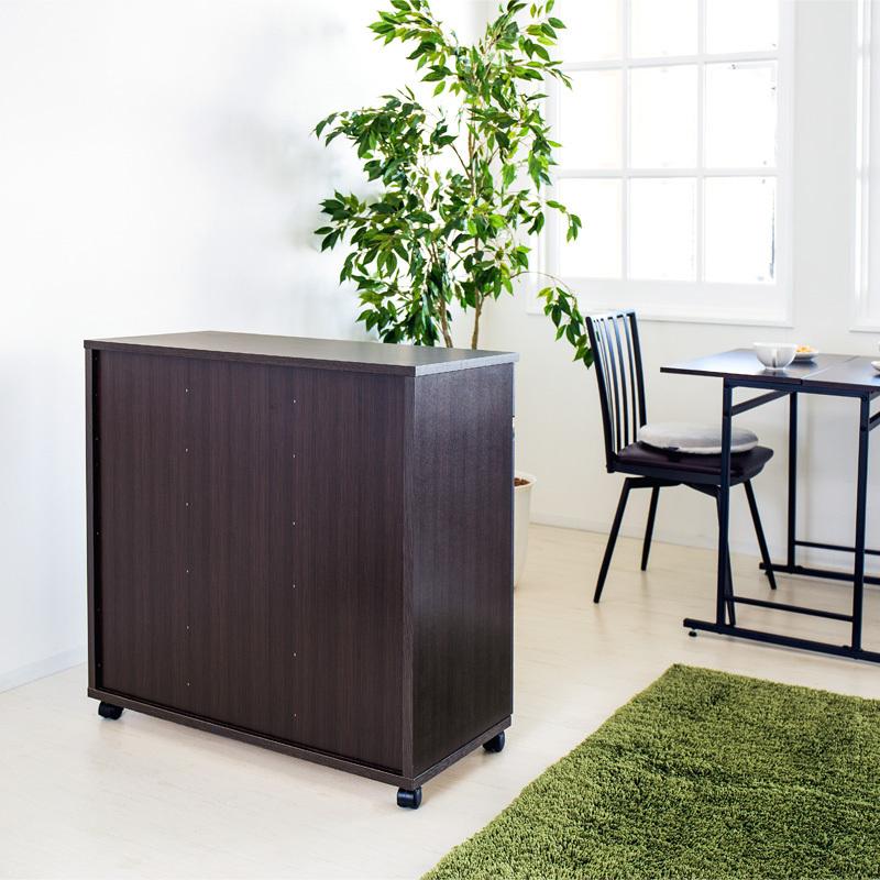 ダイニングダストボックス2D ごみ箱 2分別 台所用 生ごみ 背面美人