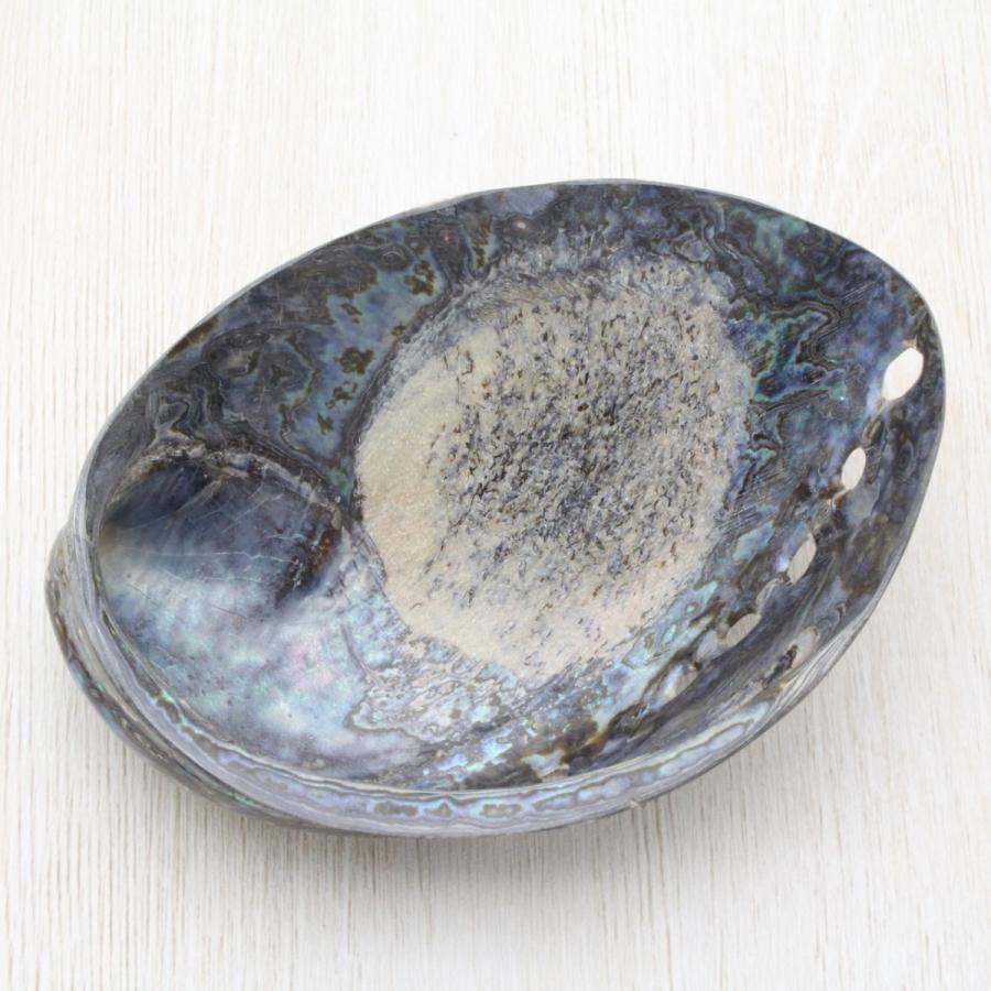 ヴィンテージ アワビ パウア貝 魚の細工 孔雀貝 オブジェ 42cm 希少