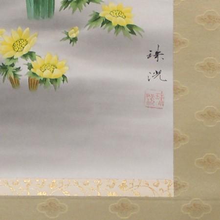 掛け軸 水仙 福寿草 (岡本珠洸) 【掛軸】【一間床・半間床】【冬