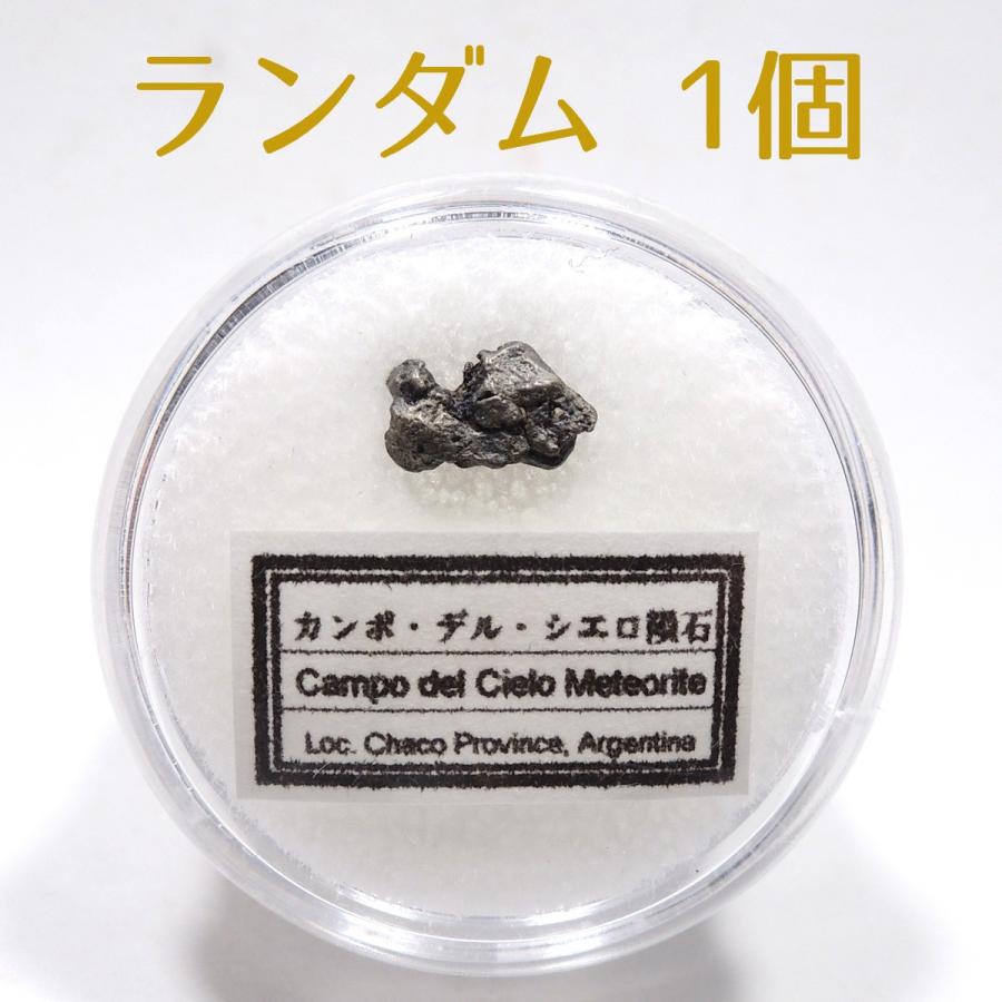 カンポ・デル・シエロ隕石 カンポデルシエロ隕石 1個 ランダム 隕石
