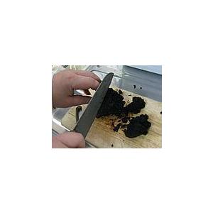 業務用 カバノアナタケ茶塊(原体)2.1kg(700g×3袋セット)北海道産