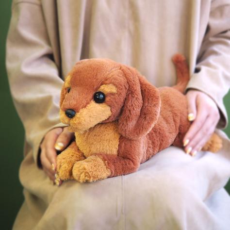 ひざわんこ ミニチュアダックス レッドブラウン ダックスフント 犬