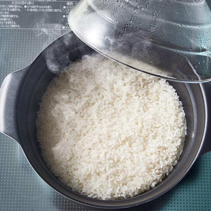 HARIO（ハリオ） ご飯釜 フタがガラス IH対応 雪平満水容量2800m l1