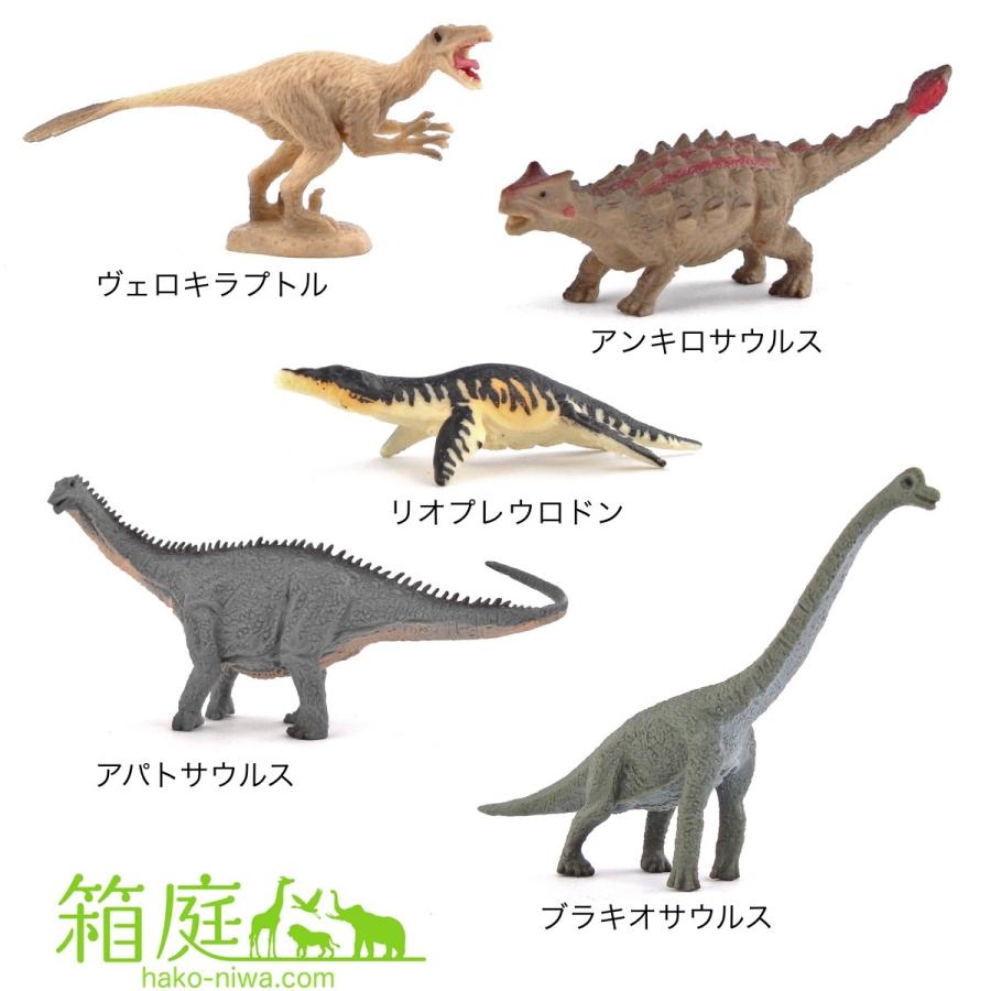 コレクタ 恐竜フィギュアセット A1102 ミニダイナソーボックス2