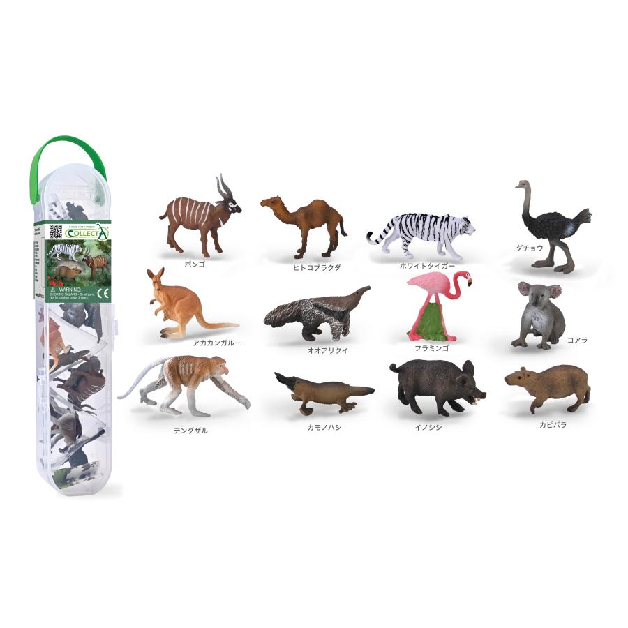 Collecta A1219 アニマルBOX 3 動物フィギュア : 動物フィギュアの