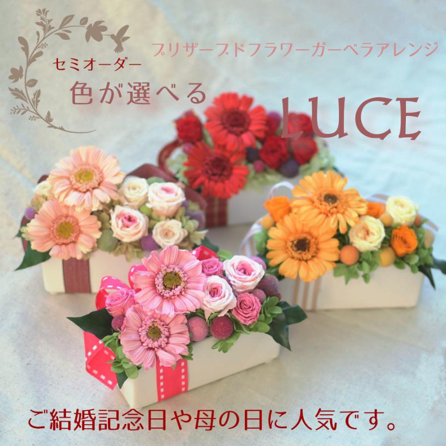ガーベラ プリザーブドフラワー 色が選べるアレンジ Luce ケース入 母