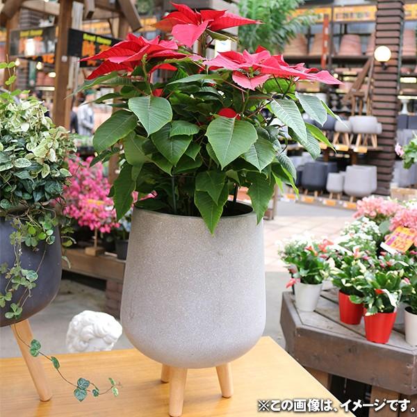 植木鉢 カバー ファイバークレイ 丸型 ハイタイプ脚付き 29×42