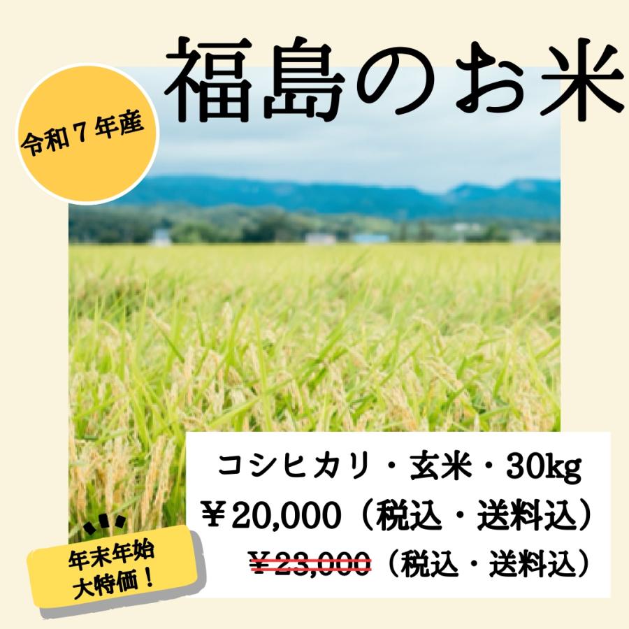 コシヒカリ】 ※年末年始キャンペーン中※ 令和7年産 / 福島県国見町産