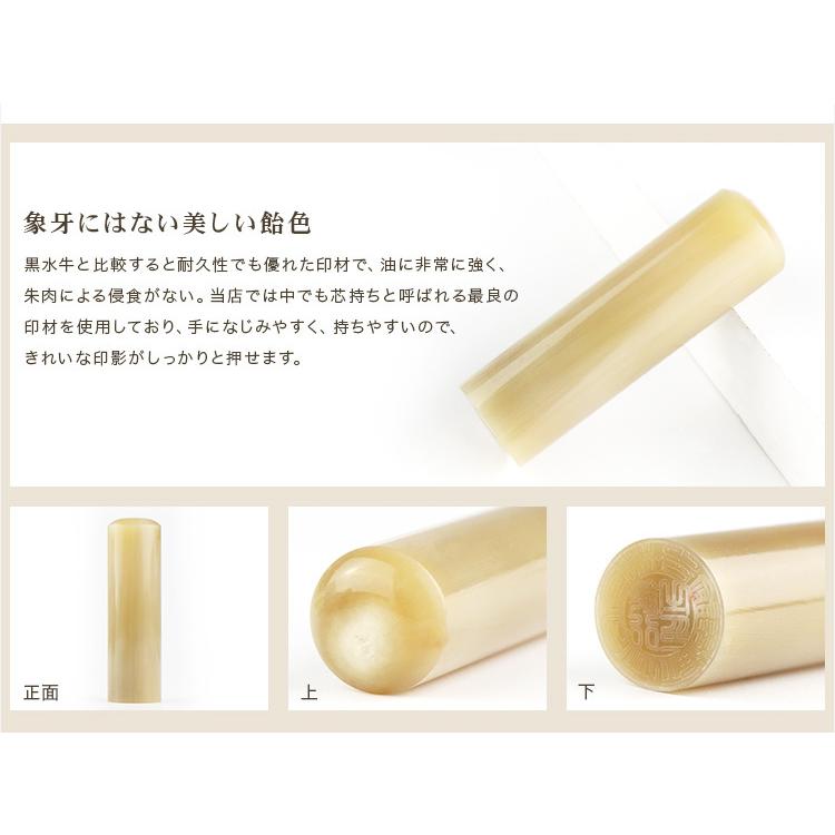 10年保証】印鑑 オランダ水牛 純色 会社印鑑セット 会社印 代表取締役