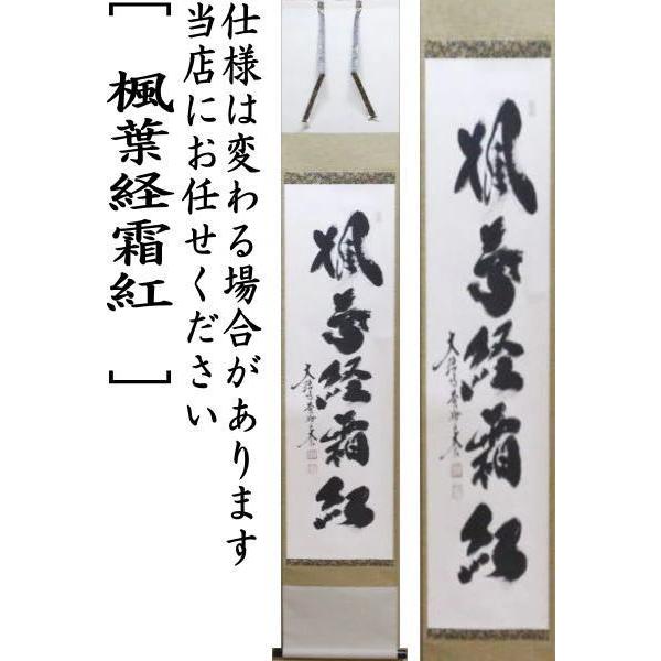 茶道具 掛軸 掛け軸 一行 楓葉経霜紅 小林太玄筆 茶道 : 茶道具いまや