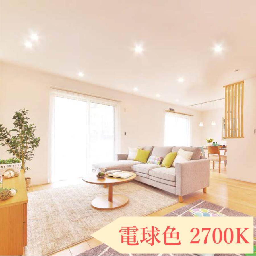 IRIS OHYAMA（アイリスオーヤマ） ダウンライト LED 150φ 埋込型照明