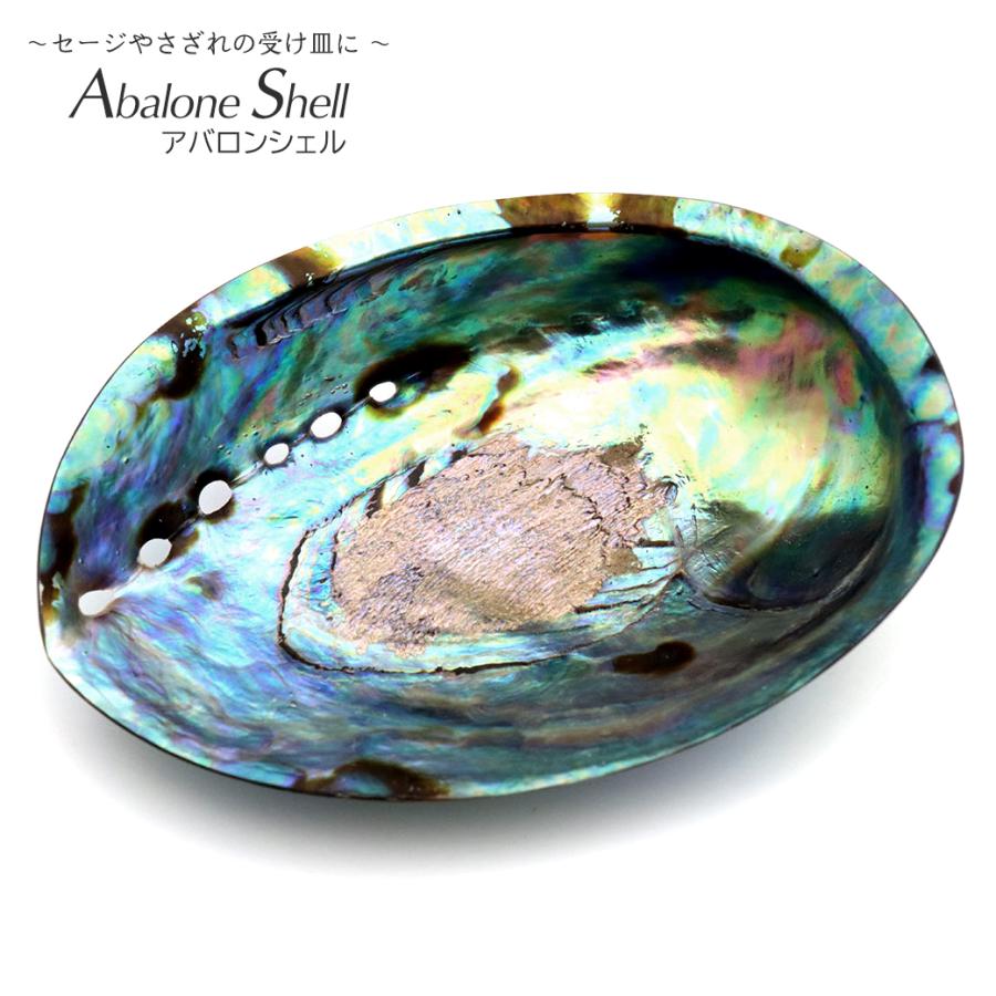 アバロンシェル 浄化皿 1枚売り パウアシェル 貝殻 ニュージーランド産