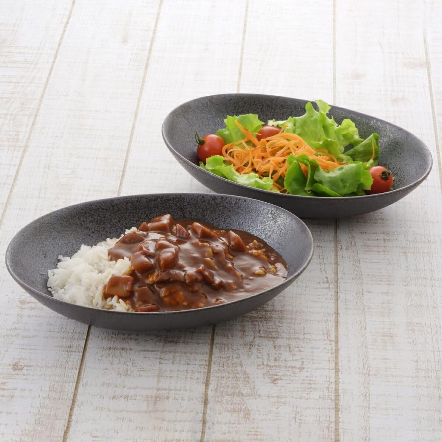 カレー皿 楕円 黒 カフェスタイル オーバル 2枚組 食器 器 深皿 パスタ