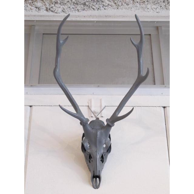 ウォールオブジェ アンティーク ビンテージ スカル オブジェ 鹿 鹿角
