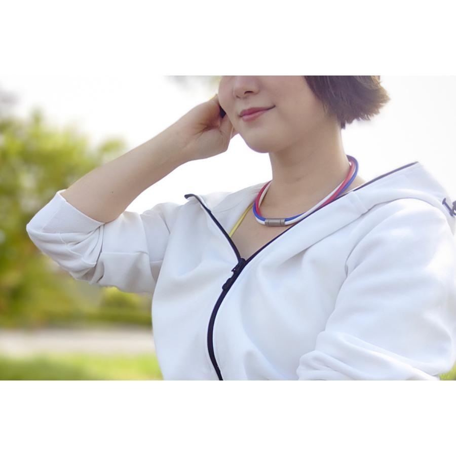 SEV（セブ） ルーパータイプ3Ti / SEV Looper type3Ti☆送料無料