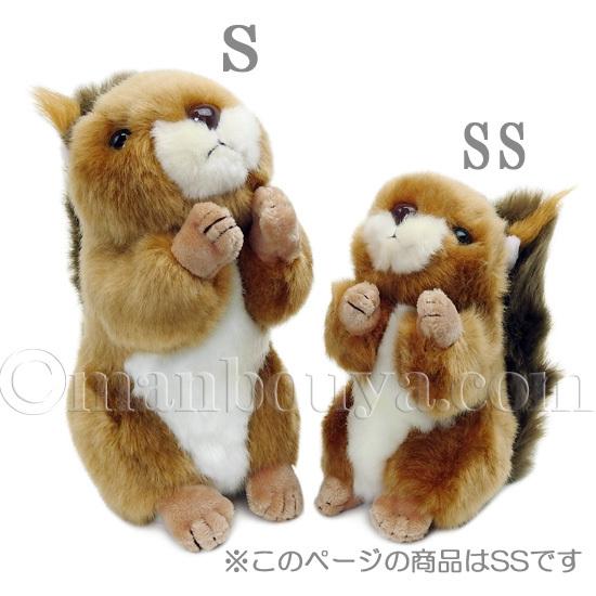 リス ぬいぐるみ 動物 キュート販売 CUTE 日本リス SS 12cm : まんぼう