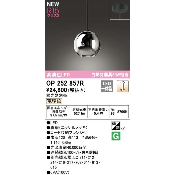 ODELIC（オーデリック） ペンダントライト 【OP252857R】【OP 252 857R