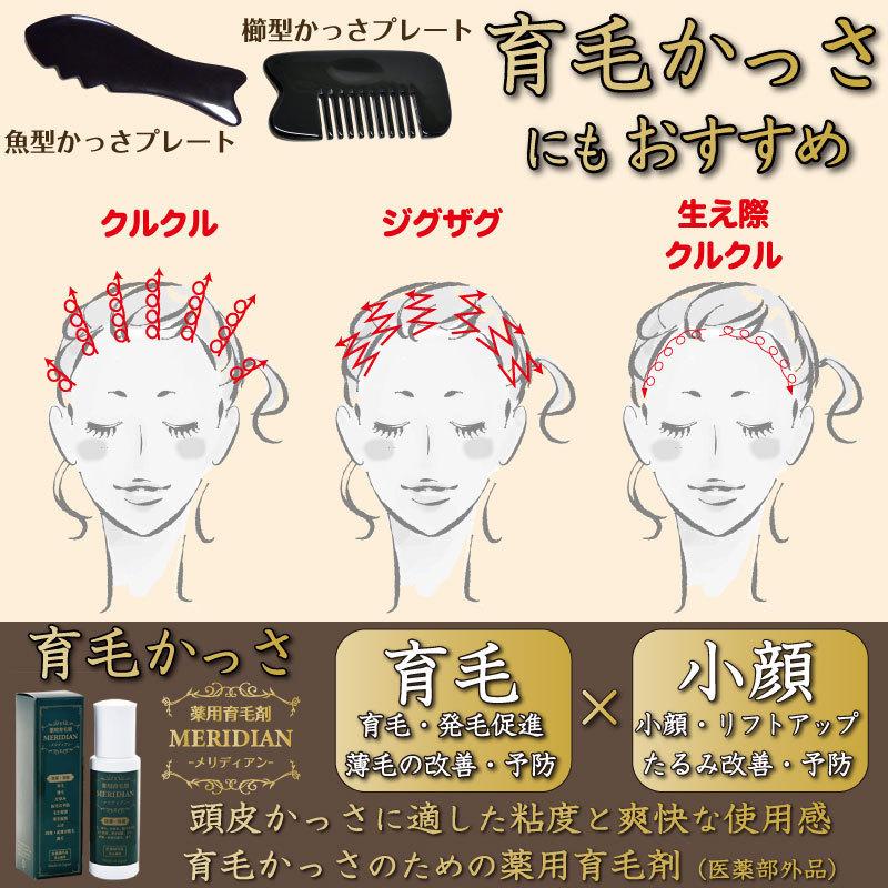 Namera かっさ 櫛型 牛角 牛の角 製 かっさの方法 小冊子つき 頭のかっ