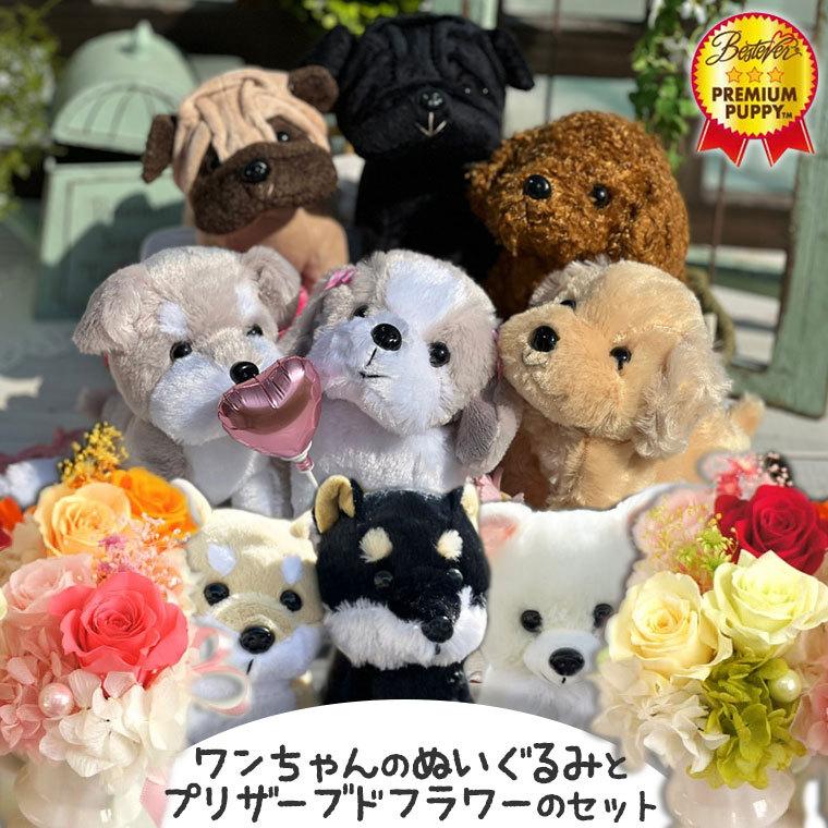 わんプチセット プリザーブドフラワー ぬいぐるみ 犬 プリザ 花 ギフト