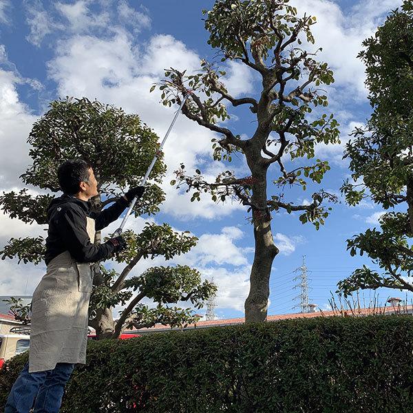 アルス 軽量伸縮式高枝鋏 ズームチョキエコノ 採収タイプ 2m 160ZD-2.0