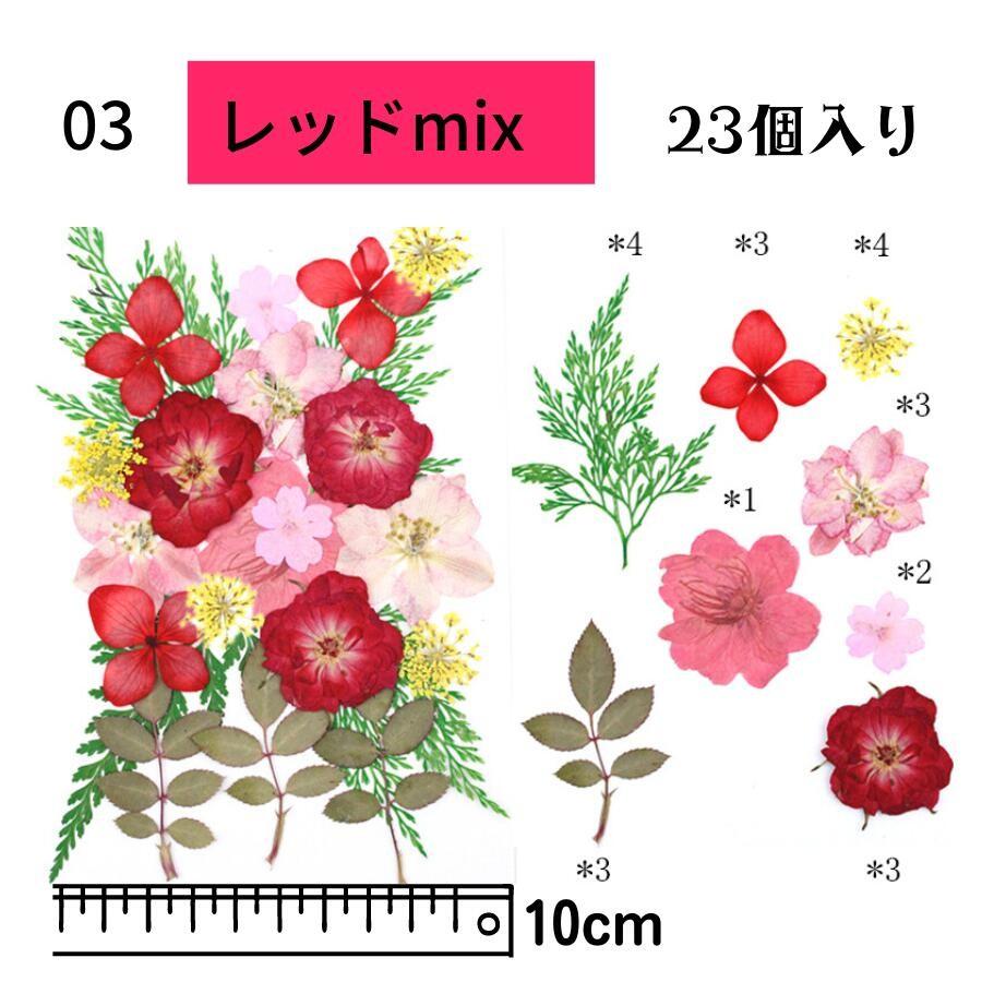 ドライフラワー 花材 詰合わせ レジン ハーバリウム 押し花 プレスド