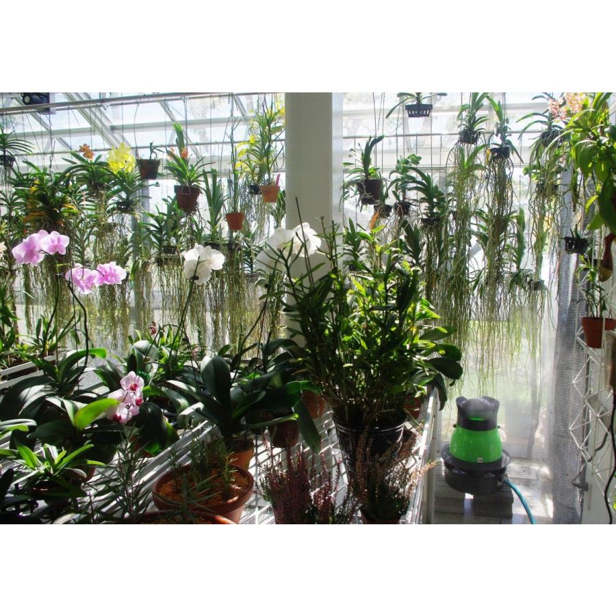 遠心式加湿器 TL5500 遠心力の作用で4,000cc/時の大噴霧量 正規販売店