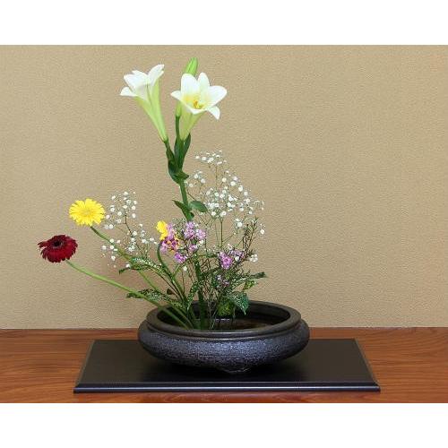 信楽焼 水盤 花器 11号 万年青 丸 陶器 池坊 嵯峨御流 生け花 華道用