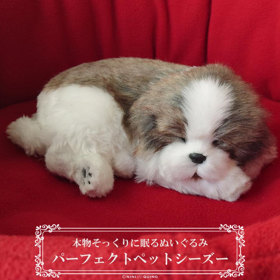 ニニアンドキノ パーフェクトペット (小サイズ) シーズー ぬいぐるみ