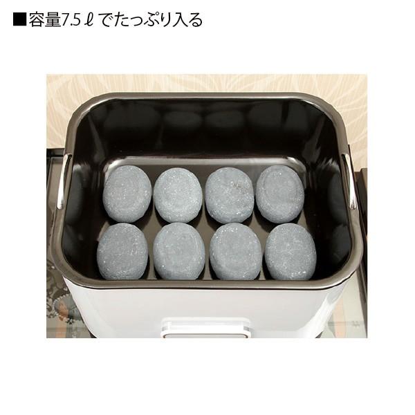 ホットストーン 導入セット ウォーマー ストーン16個 ストーンセラピー