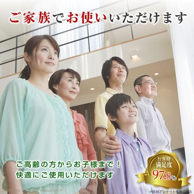 東洋の達人・白寿仙人（OEM品もあるため機種は選べません）中古 1年