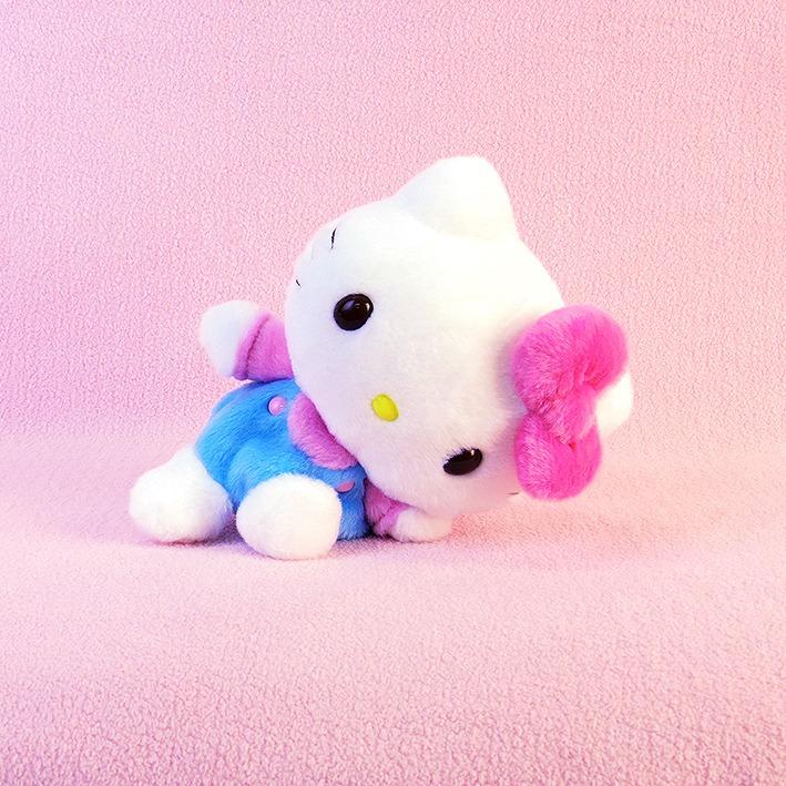 sanrio（サンリオ） サンリオキャラクターズ ハローキティ ふわくた