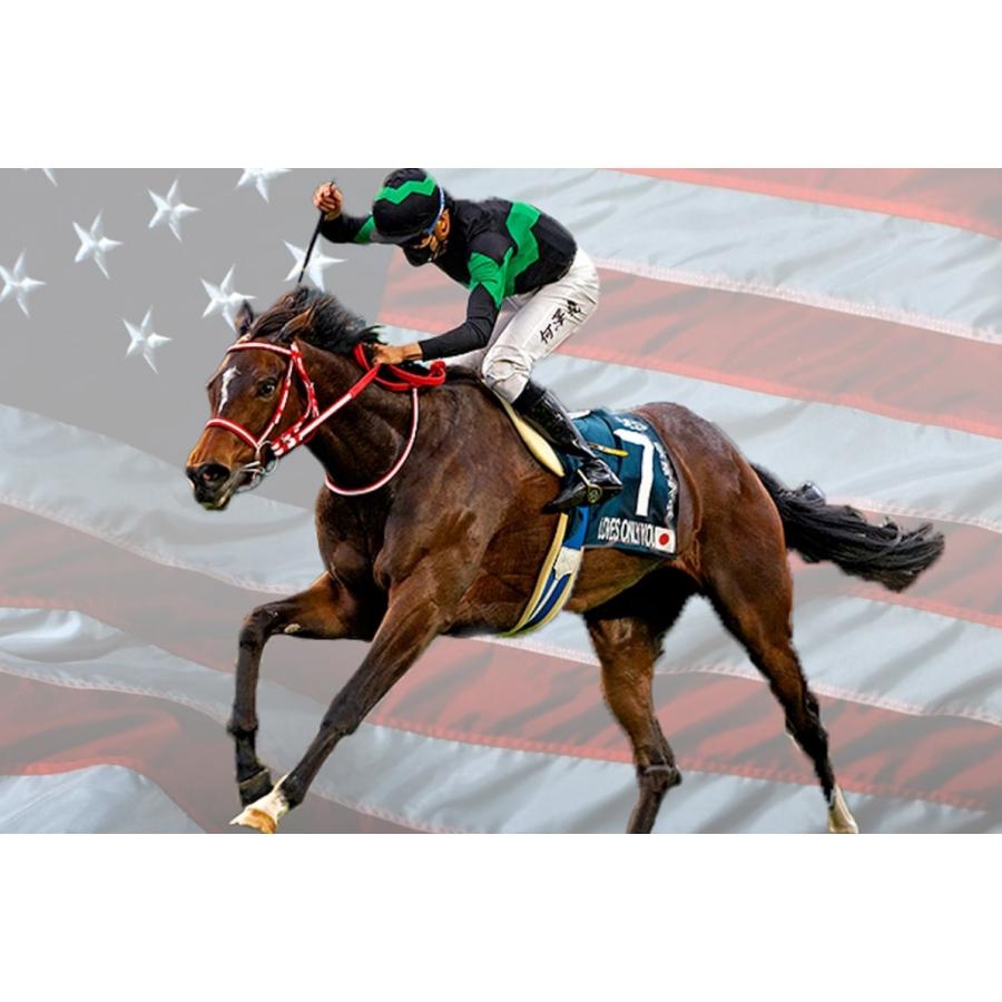 ラヴズオンリーユー ぬいぐるみ Mサイズ アイドルホース 21BCフィリー