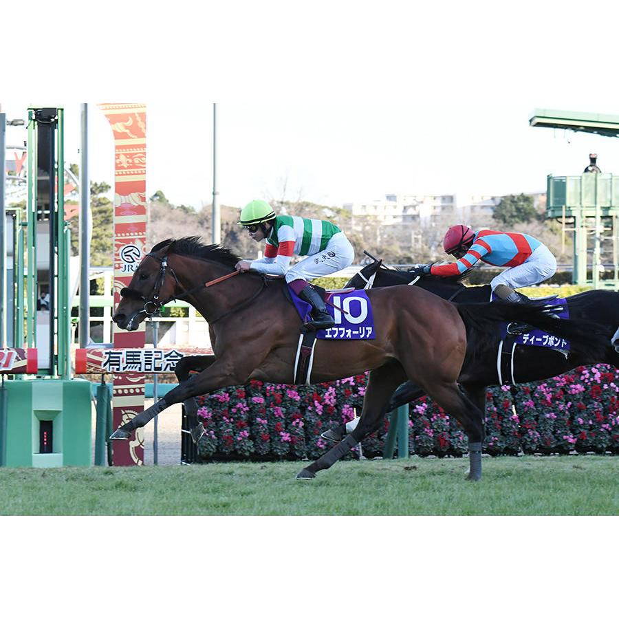 エフフォーリア ぬいぐるみ Mサイズ アイドルホース 第66回有馬記念