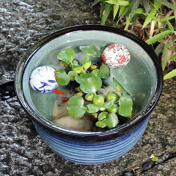 信楽焼 睡蓮鉢 メダカ鉢 おしゃれ めだか鉢 陶器 水鉢 ビオトープ