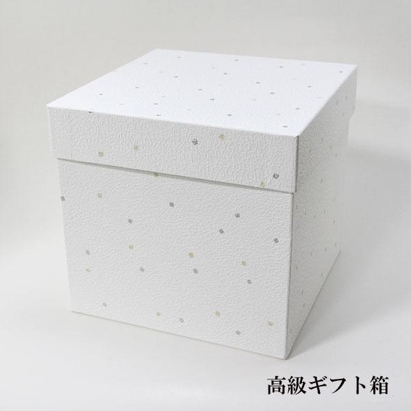 重箱 3段 木製 漆塗り 溜内朱 6.5寸 日本製 越前漆器 越前塗り 三段