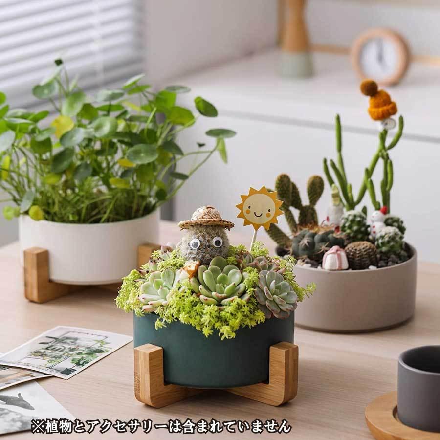 寄せ植え 植木鉢 プランタ 鉢 多肉植物鉢 サボテン鉢 竹トレー付き