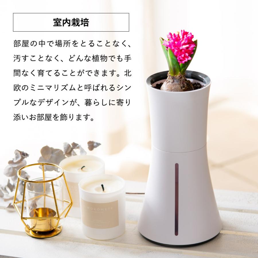 スマート水耕栽培キット ボタニアム BOTANIUM 送料無料 家庭菜園 自動