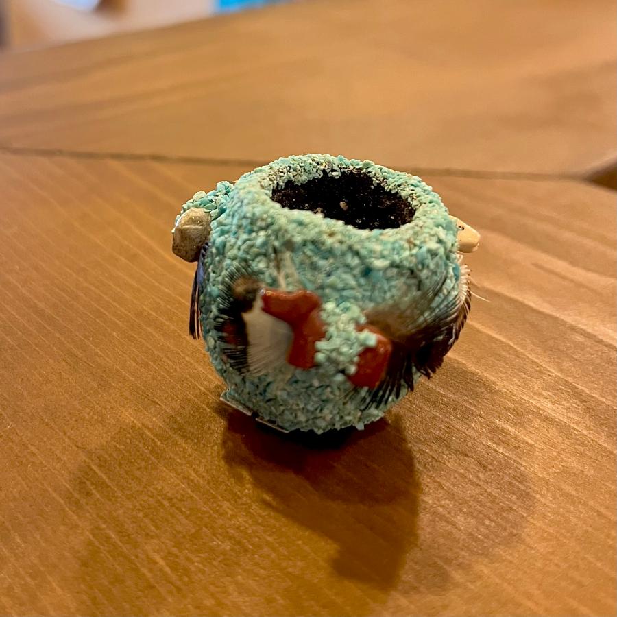 ターコイズポテリ 壺 ナバホ族/ターコイズ/インディアンジュエリー