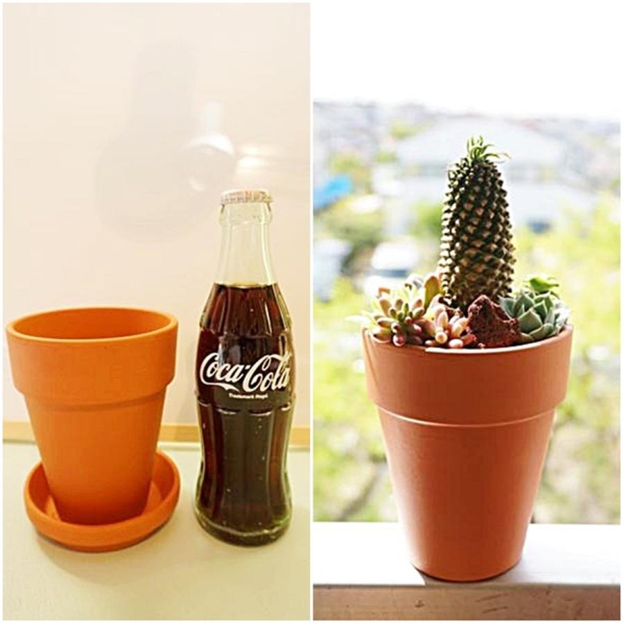 鉢 素焼鉢 テラコッタ SPANG社製 トールポット 20個セット 外径7cm