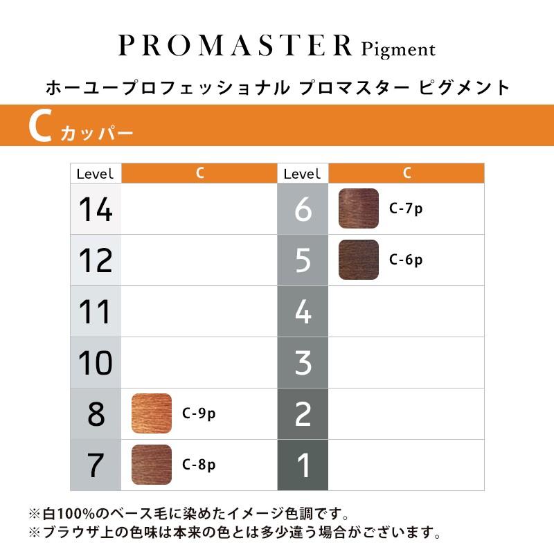 hoyu（ホーユー） プロフェッショナル プロマスター ピグメント