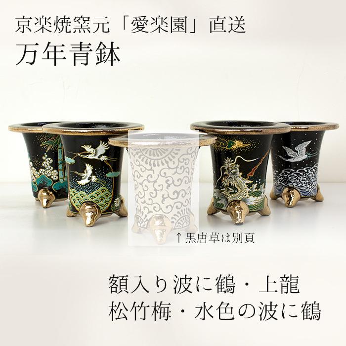 ◇京楽焼窯元「愛楽園」直送◇『万年青鉢（おもと鉢） 額入り波に鶴