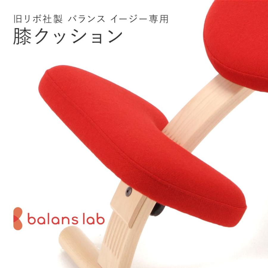 旧型リボ社製バランスチェア・イージー：アフターパーツ／膝クッション