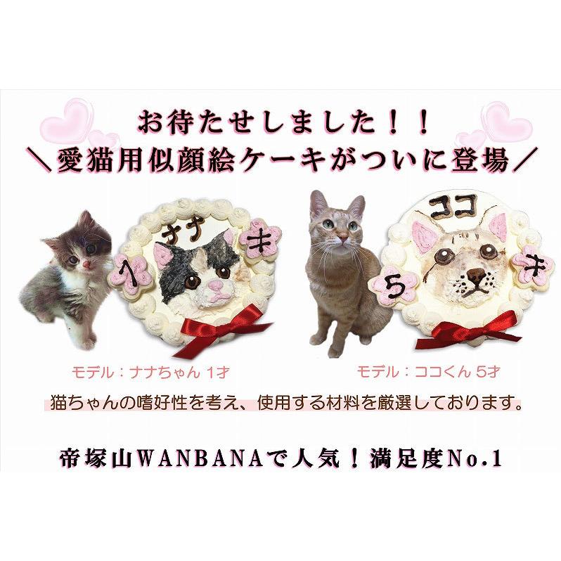 帝塚山WANBANA 猫用の 似顔絵 ケーキ 一頭 描き ササミと鰹節生地 4号