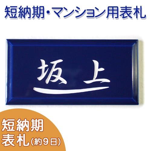 短納期）（タイル表札） 彫り文字が印象的な艶のある深いブルーのプチ