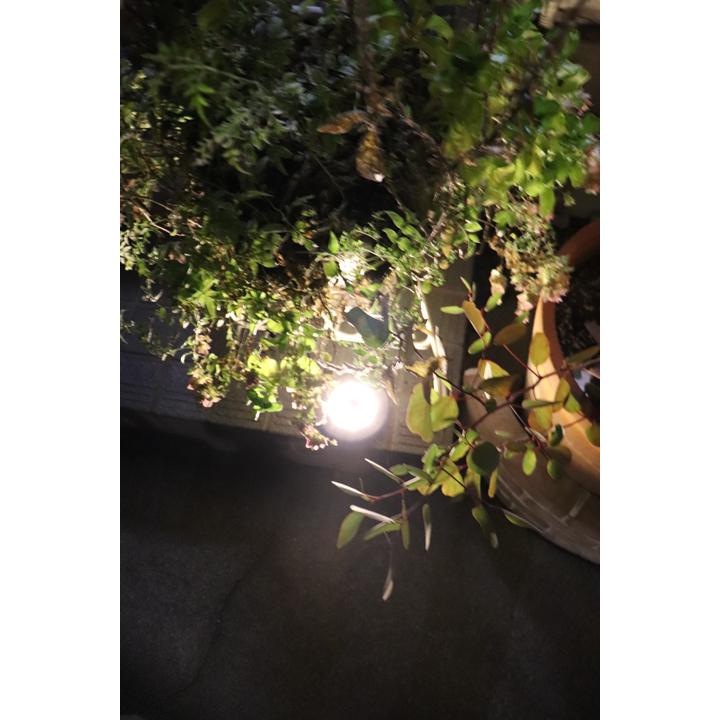 SALE セール ソーラー LED グランドライト 2個セット 屋外用 夜間自動