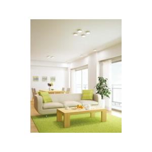 ODELIC（オーデリック） シーリングライト 【OL251360R】【OL 251 360R