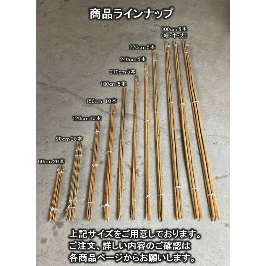 女竹 60cm 20本 篠竹 竹支柱 天然竹 測量用 測量用品 目印 農業用 業務