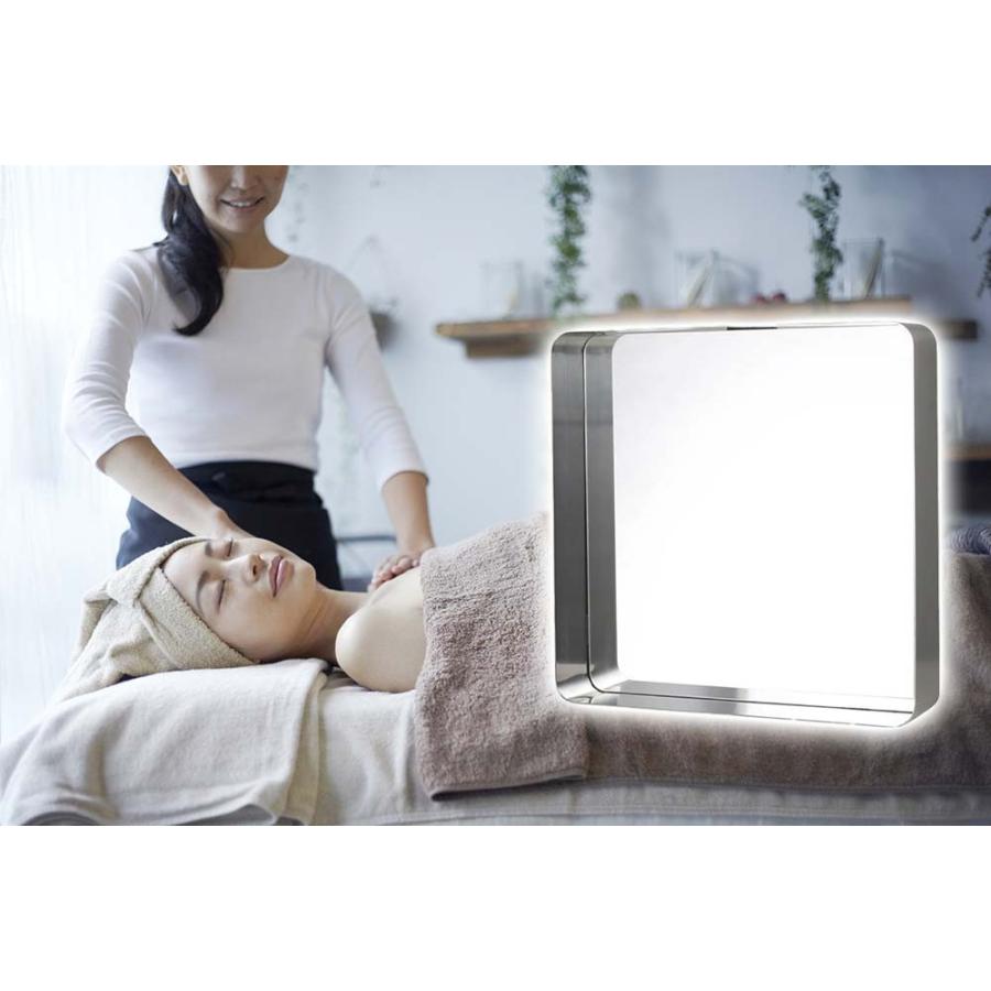 スチールフレームミラー サテン仕上げ ウォールミラー 壁掛け鏡 壁掛け