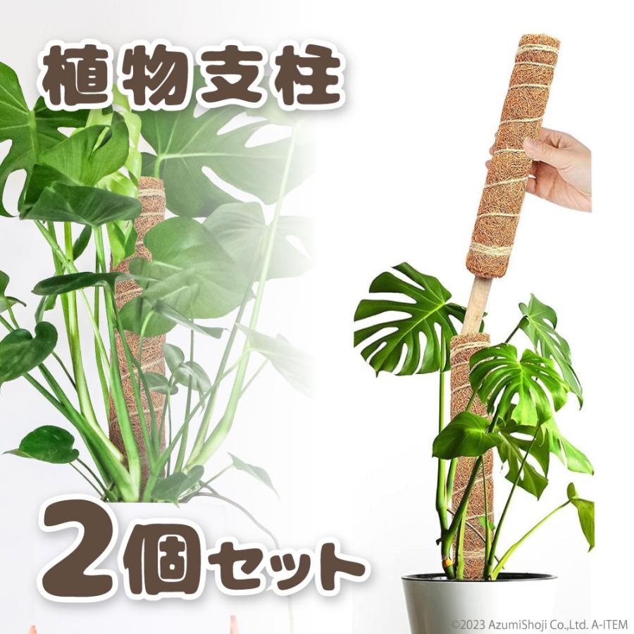 植物 支柱 30cm 2本セット モンステラ 園芸用支柱 観葉植物 ココナッツ